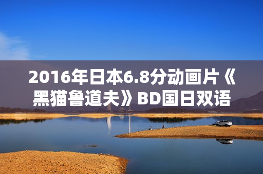 2016年日本6.8分动画片《黑猫鲁道夫》BD国日双语中字