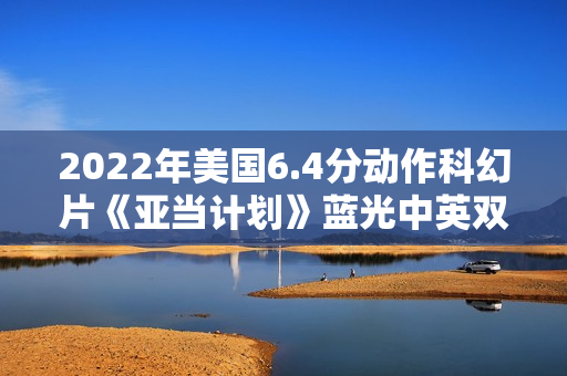 2022年美国6.4分动作科幻片《亚当计划》蓝光中英双字