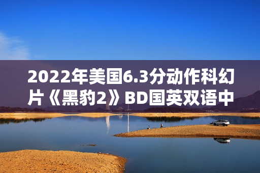 2022年美国6.3分动作科幻片《黑豹2》BD国英双语中英双字