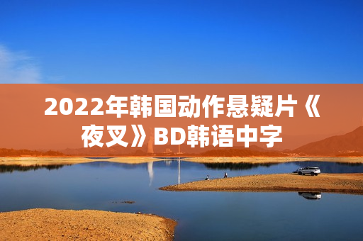 2022年韩国动作悬疑片《夜叉》BD韩语中字