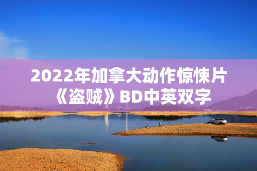 2022年加拿大动作惊悚片《盗贼》BD中英双字