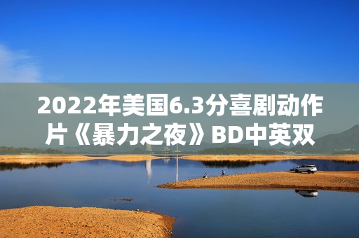 2022年美国6.3分喜剧动作片《暴力之夜》BD中英双字