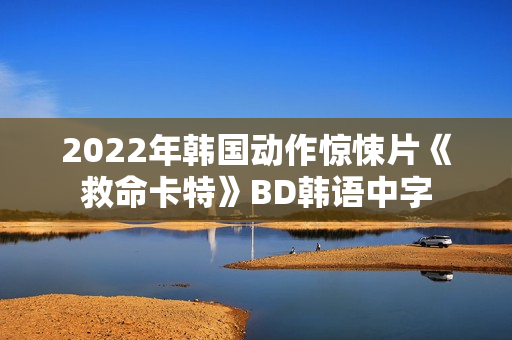 2022年韩国动作惊悚片《救命卡特》BD韩语中字