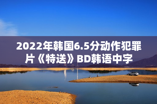 2022年韩国6.5分动作犯罪片《特送》BD韩语中字