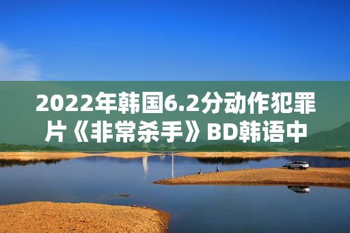 2022年韩国6.2分动作犯罪片《非常杀手》BD韩语中字