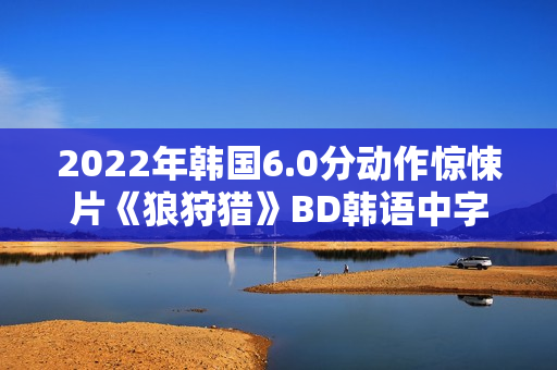 2022年韩国6.0分动作惊悚片《狼狩猎》BD韩语中字