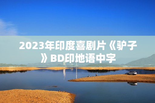 2023年印度喜剧片《驴子》BD印地语中字
