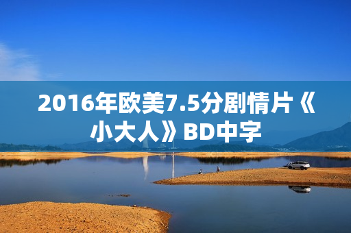 2016年欧美7.5分剧情片《小大人》BD中字