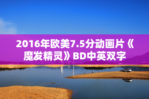 2016年欧美7.5分动画片《魔发精灵》BD中英双字