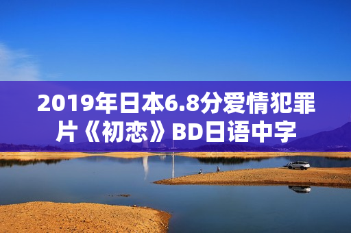 2019年日本6.8分爱情犯罪片《初恋》BD日语中字