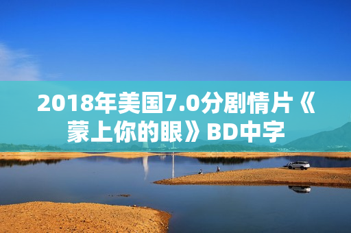 2018年美国7.0分剧情片《蒙上你的眼》BD中字