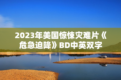 2023年美国惊悚灾难片《危急迫降》BD中英双字
