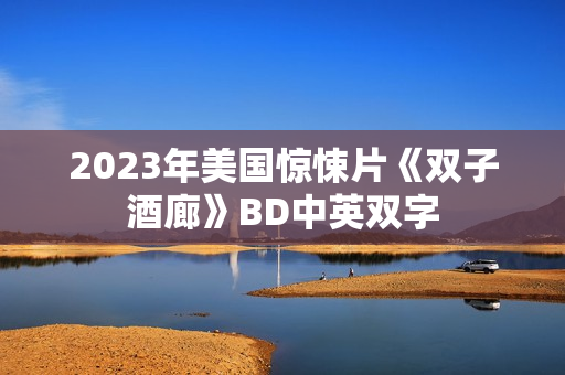 2023年美国惊悚片《双子酒廊》BD中英双字
