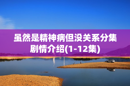 虽然是精神病但没关系分集剧情介绍(1-12集)