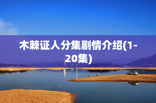 木棘证人分集剧情介绍(1-20集)