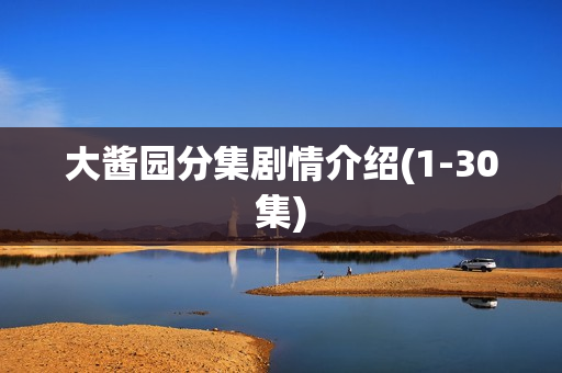 大酱园分集剧情介绍(1-30集)