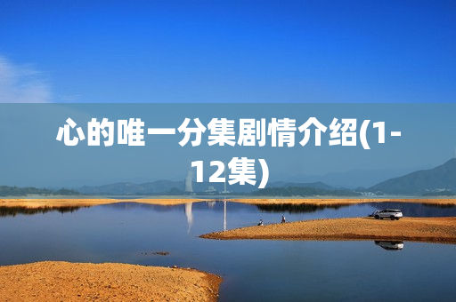 心的唯一分集剧情介绍(1-12集)