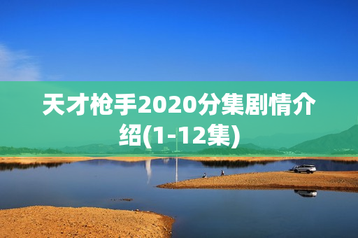 天才枪手2020分集剧情介绍(1-12集)
