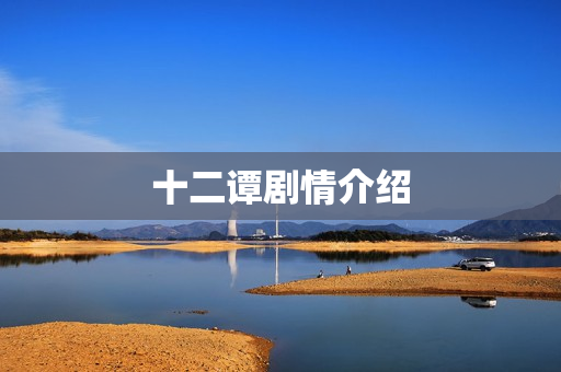 十二谭剧情介绍