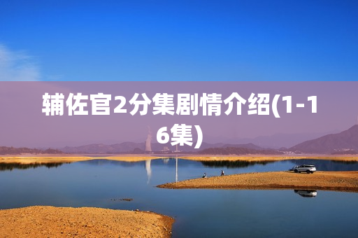 辅佐官2分集剧情介绍(1-16集)