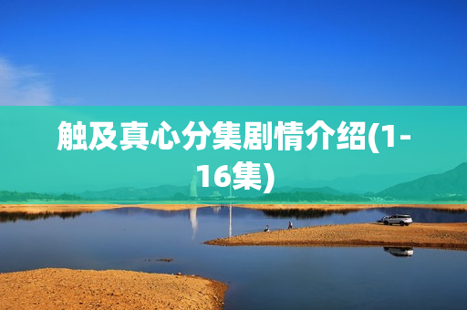 触及真心分集剧情介绍(1-16集)