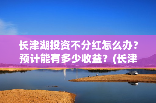 长津湖投资不分红怎么办？预计能有多少收益？(长津湖投资才5亿和13亿)