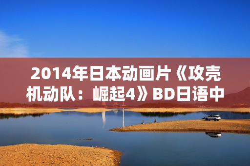 2014年日本动画片《攻壳机动队：崛起4》BD日语中字
