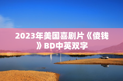 2023年美国喜剧片《傻钱》BD中英双字