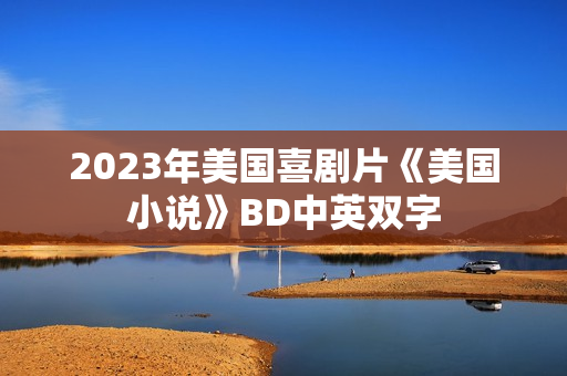 2023年美国喜剧片《美国小说》BD中英双字