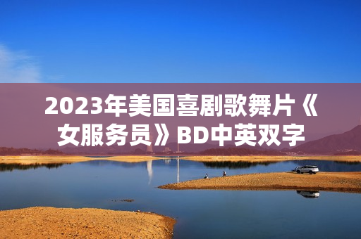 2023年美国喜剧歌舞片《女服务员》BD中英双字 2023年美国喜剧歌舞片《女服务员》BD中英双字