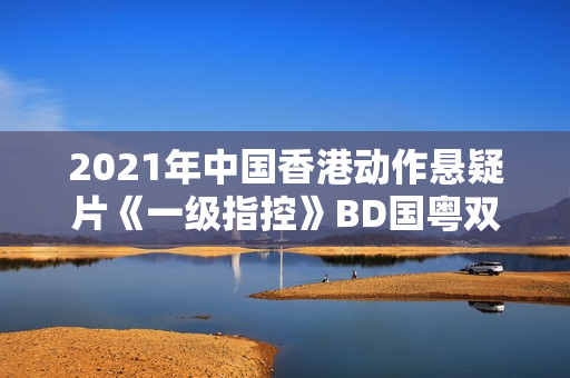 2021年中国香港动作悬疑片《一级指控》BD国粤双语中字