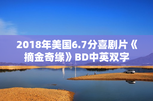 2018年美国6.7分喜剧片《摘金奇缘》BD中英双字