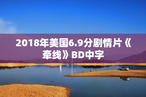 2018年美国6.9分剧情片《牵线》BD中字