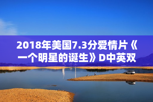 2018年美国7.3分爱情片《一个明星的诞生》D中英双字