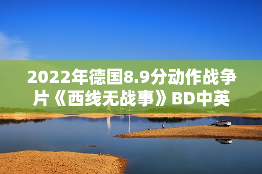 2022年德国8.9分动作战争片《西线无战事》BD中英双字