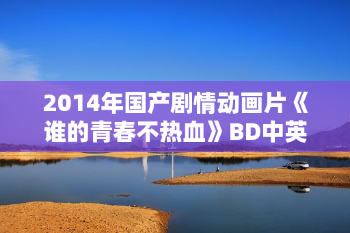 2014年国产剧情动画片《谁的青春不热血》BD中英双字