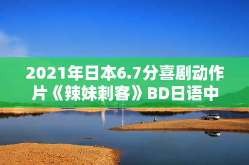 2021年日本6.7分喜剧动作片《辣妹刺客》BD日语中字