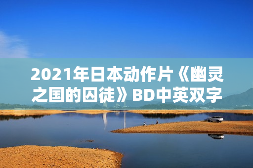 2021年日本动作片《幽灵之国的囚徒》BD中英双字