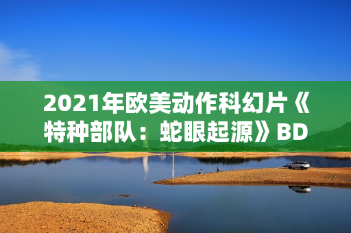 2021年欧美动作科幻片《特种部队：蛇眼起源》BD中英双字
