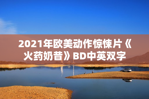 2021年欧美动作惊悚片《火药奶昔》BD中英双字