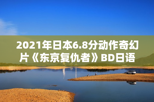 2021年日本6.8分动作奇幻片《东京复仇者》BD日语中字