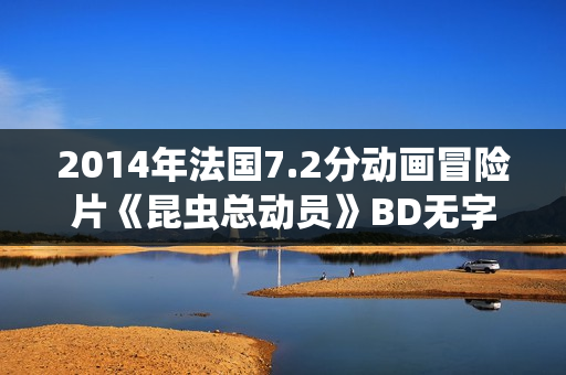 2014年法国7.2分动画冒险片《昆虫总动员》BD无字