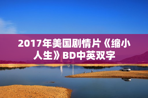 2017年美国剧情片《缩小人生》BD中英双字