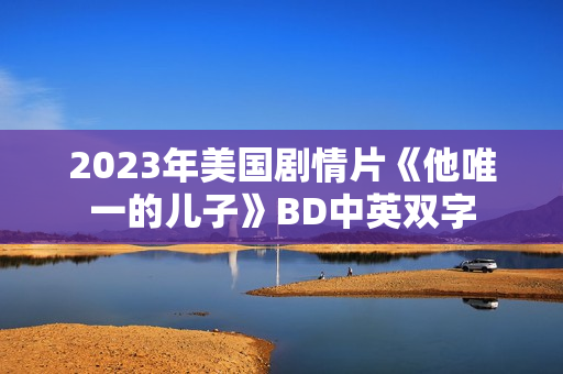 2023年美国剧情片《他唯一的儿子》BD中英双字