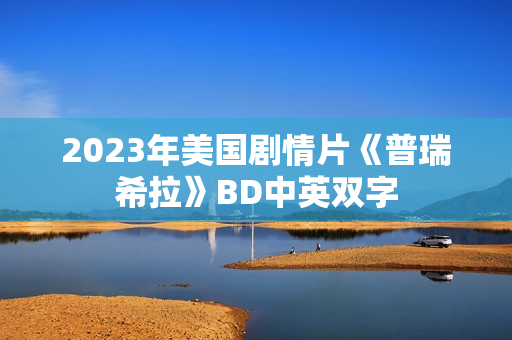 2023年美国剧情片《普瑞希拉》BD中英双字