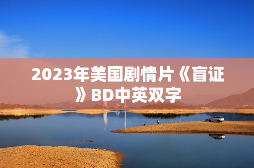2023年美国剧情片《盲证》BD中英双字
