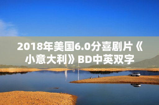 2018年美国6.0分喜剧片《小意大利》BD中英双字