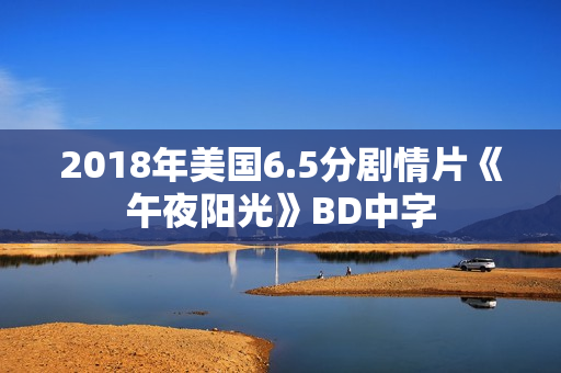 2018年美国6.5分剧情片《午夜阳光》BD中字