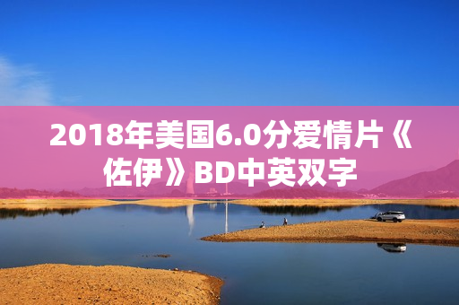 2018年美国6.0分爱情片《佐伊》BD中英双字