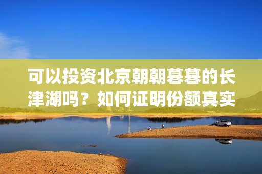 可以投资北京朝朝暮暮的长津湖吗？如何证明份额真实性？(可以投资北京朝阳公司吗)